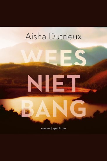 Wees niet bang - Roman - cover