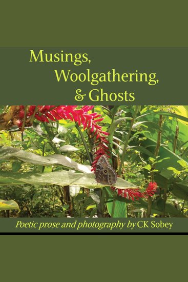 Musings Woolgathering & Ghosts - Poetic and Visual Offerings from My Life to Yours - cover