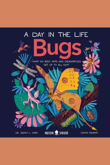 Bugs (A Day in the Life) - What Do Bees Ants and Dragonflies Get up to All Day? - cover