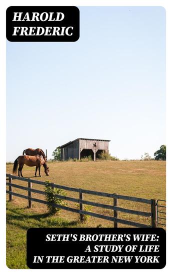 Seth's Brother's Wife: A Study of Life in the Greater New York - cover