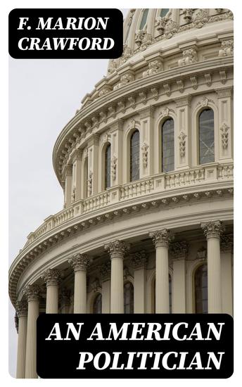 An American Politician - A Novel - cover