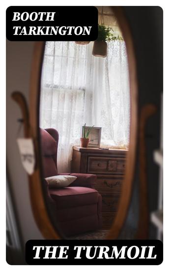 The Turmoil - A Novel - cover