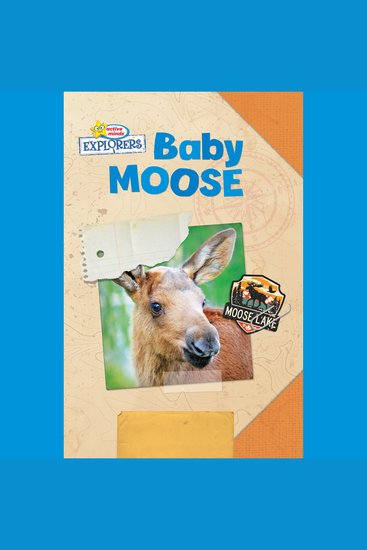 Active Minds Explorers: Baby Moose - cover
