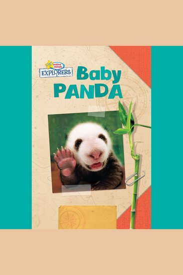 Active Minds Explorers: Baby Panda - cover