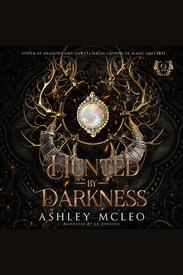 Hunted by Darkness - A Dark Artifact Hunter Series: Crowns of Magic Universe - cover
