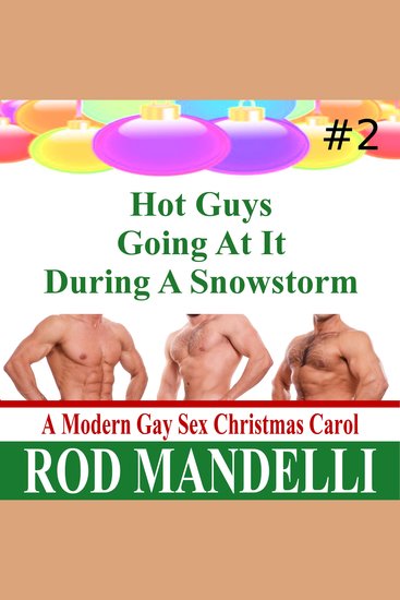 Hot Guys Going At It During A Snowstorm - cover