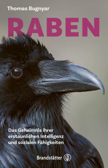 Raben - Das Geheimnis ihrer erstaunlichen Intelligenz und sozialen Fähigkeiten - cover