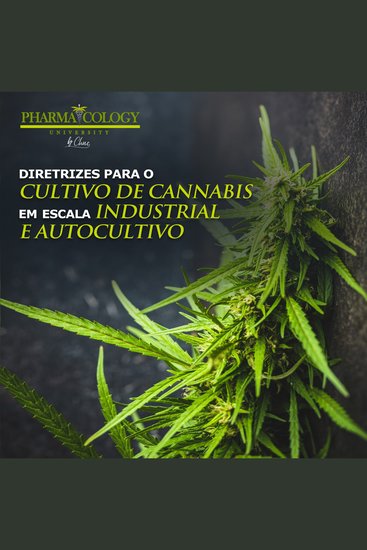 Diretrizes para o cultivo de cannabis em escala industrial e autocultivo - cover