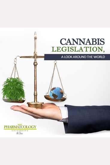 Cannabis legislation a look around the world - cover