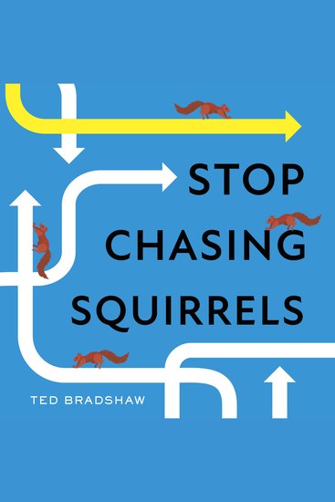 Stop Chasing Squirrels - 6 Essentials to Find Your Purpose Focus and Flow - cover