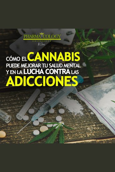 Cómo el cannabis puede mejorar tu salud mental y en la lucha contra las adicciones - cover