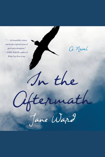 In the Aftermath - cover