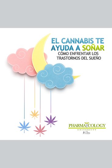 El cannabis te ayuda a soñar: cómo enfrentar los trastornos del sueño - cover
