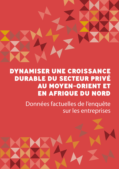 Dynamiser une croissance durable du secteur privé au Moyen-Orient et en Afrique du Nord - Données factuelles de l'enquête sur les entreprises - cover