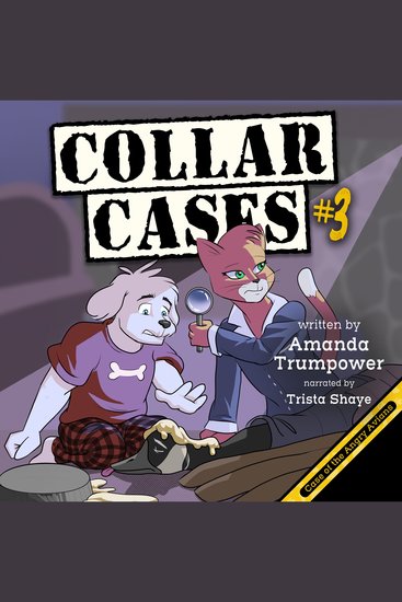 Case of the Angry Avians - A Christian Mystery For Kids - cover