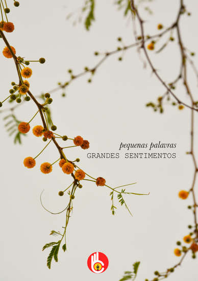 pequenas palavras Grandes Sentimentos - cover