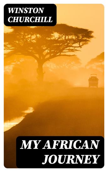 My African Journey - cover