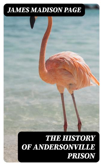 The History of Andersonville Prison - cover