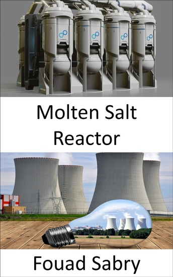 Molten Salt Reactor - Rethinking the fuel cycle in the future of nuclear power? - cover