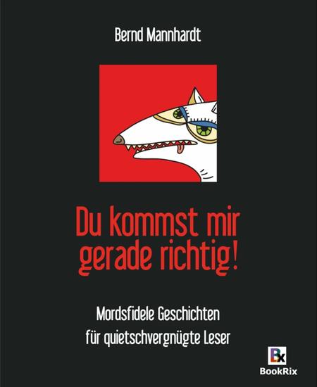 Du kommst mir gerade richtig! - Mordsfidele Geschichten für quietschvergnügte Leser - cover
