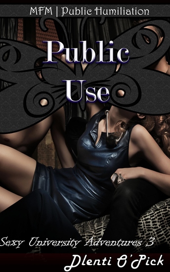 Public Use - cover