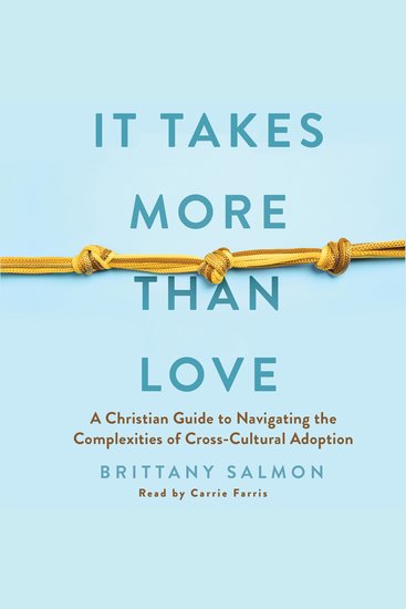 It Takes More Than Love - A Christian Guide to Navigating the Complexities of Cross-Cultural Adoption - cover