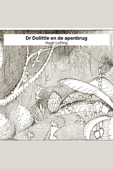 Dr Dolittle en de apenbrug - cover