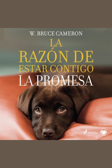 La razón de estar contigo La promesa - cover