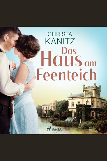 Das Haus am Feenteich - Ein Stelling-Roman - cover