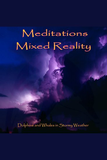 Meditations Mixed Reality - Dolphins and Whales in Stormy Weather - cover