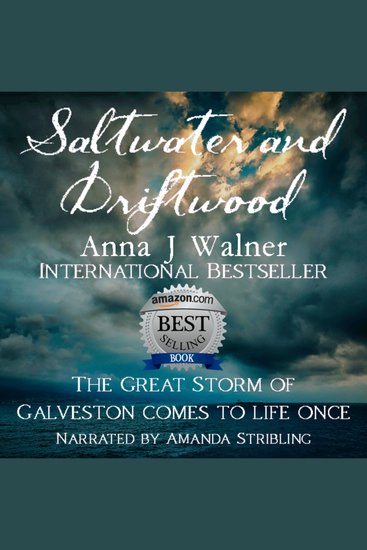 Saltwater and Driftwood - A Historical Novel - cover