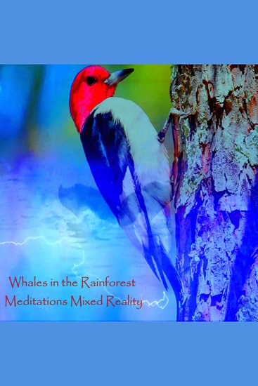 Whales in the Rainforest - Meditations Mixed Reality - cover