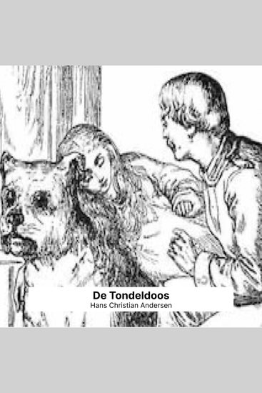 De Tondeldoos - cover