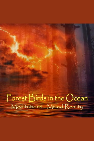 Forest Birds in the Ocean - Meditations Mixed Reality - cover