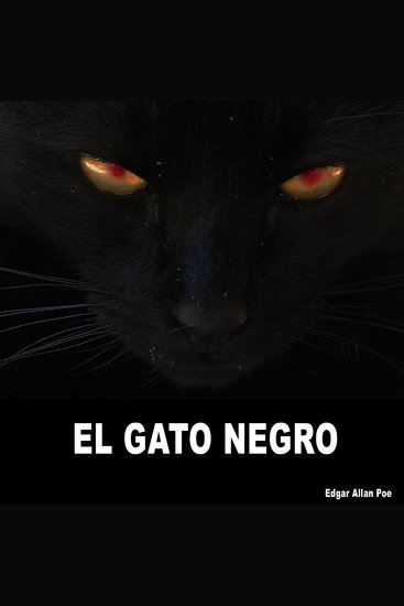 EL Gato Negro - cover