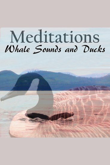 Whale Sounds and Ducks - Meditations - cover