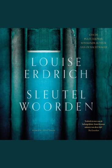 Sleutelwoorden - Roman - cover