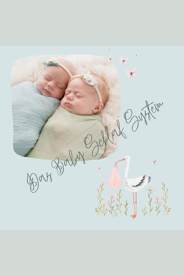 Das Baby Schlaf System - Beruhigende Klangwelten wenn das Baby nicht einschlafen will - cover