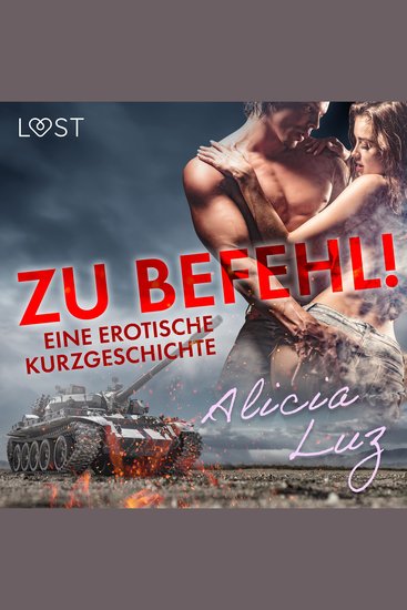Zu Befehl! Eine erotische Kurzgeschichte - cover