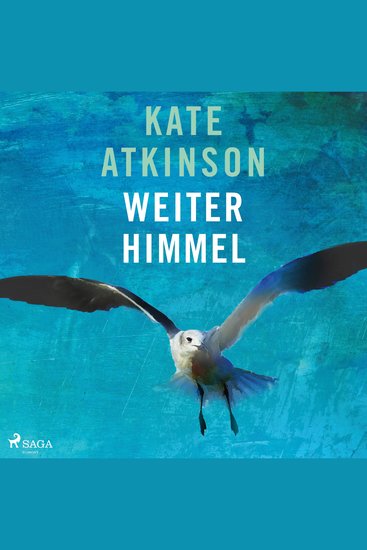 Weiter Himmel (Jackson-Brodie-Reihe 5) - cover