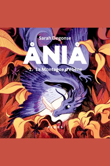 Ania - Tome 1 - La Montagne d'ébène - cover