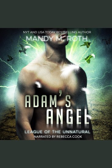 Adam's Angel - cover