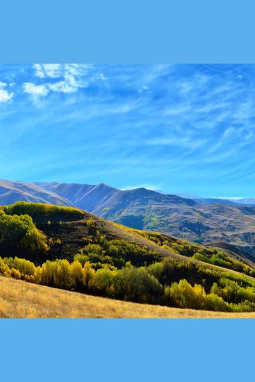 5 Minutes of Meditation Vol 8 - cover