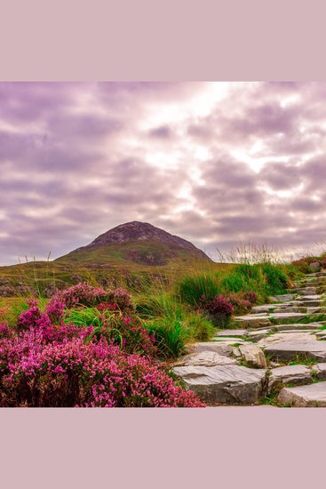 5 Minutes of Meditation Vol 6 - cover