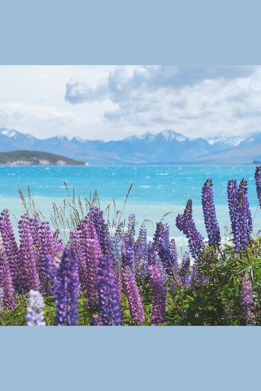 5 Minutes of Meditation Vol 7 - cover