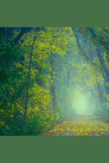 5 Minutes of Meditation Vol 5 - cover