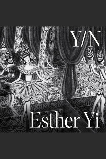 Y N - A Novel - cover