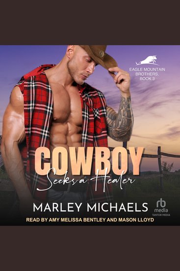 Cowboy Seeks a Healer - cover