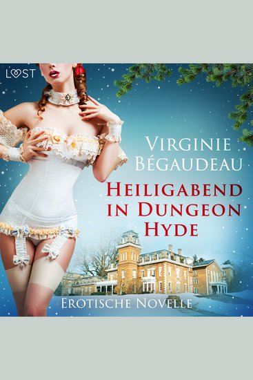 Heiligabend in Dungeon Hyde - Erotische Novelle - cover