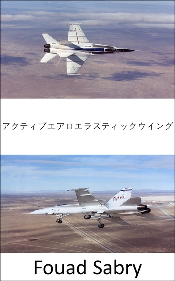 アクティブエアロエラスティックウイング - 遷音速および超音速での航空機の操縦性を向上 - cover